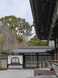 【京都/高台寺】竹林の穴場スポット！！