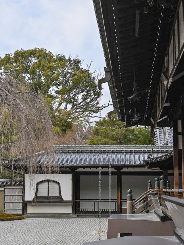 【京都/高台寺】竹林の穴場スポット！！