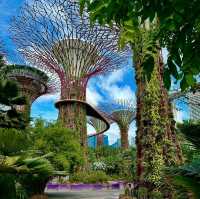 Gardens by the Bay，被譽為新加坡最優美的城市園林傑作