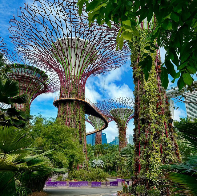 Gardens by the Bay，被譽為新加坡最優美的城市園林傑作
