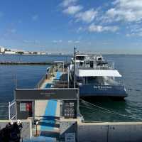 東京からすぐに行ける無人島、猿島へ向かうフェリーのあるターミナル🏝️🚢