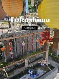 【リスがたくさん？！癒しとかわいいが詰まった神社】