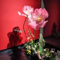IMMERSE IN A COLORFUL NIGHT OF SỐNG LAB