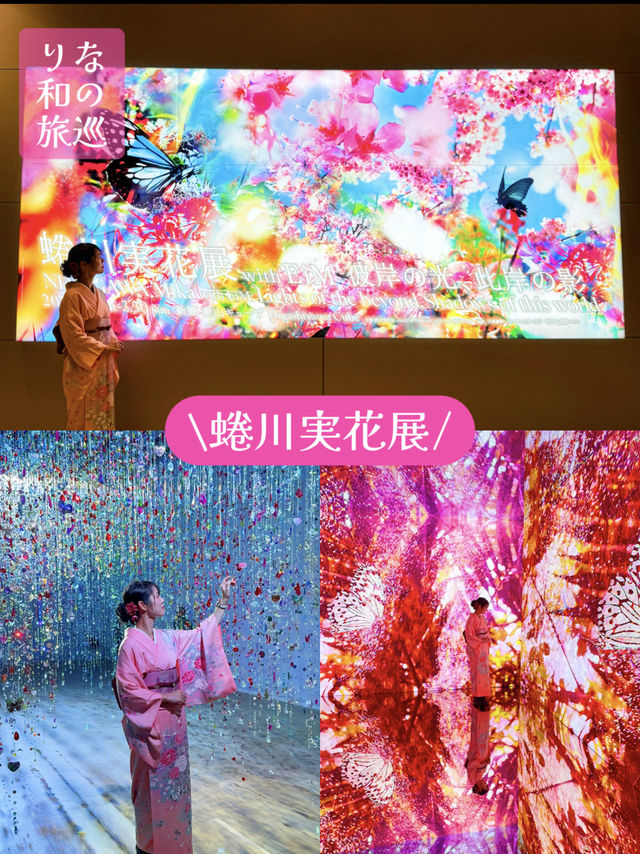 〜京都府京都市〜美しすぎる没入空間！蜷川実花展