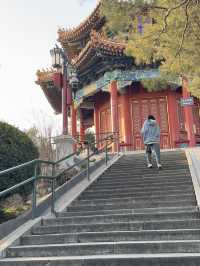 Jinshan Park🌳🏰