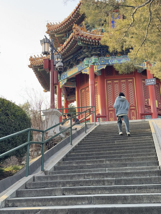 Jinshan Park🌳🏰
