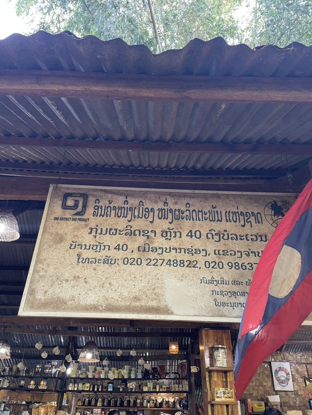 Bolaven Plateau Coffee (Lak 40)