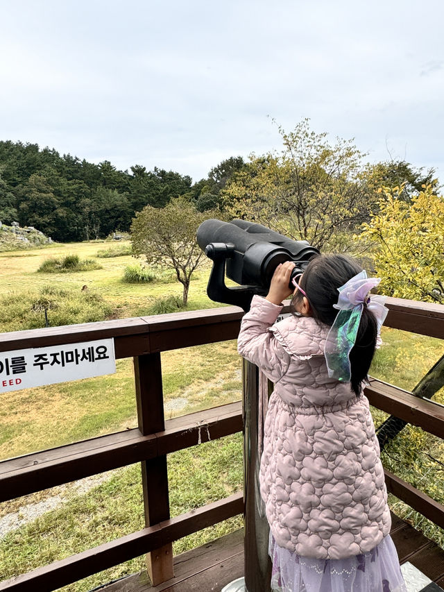 충남 서천 아이와 함께 자연의 특별함을 즐길 수 있는 서천국립생태원