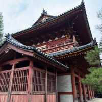 聖福寺：在“靜謐日式禪院”中品味枯山水的哲學 🌿🧘‍♀️