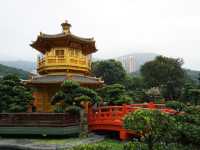 A Peaceful Pause: Hong Kong’s Best Kept Secrets—Chi Lin Nunnery and Nan Lian Garden
