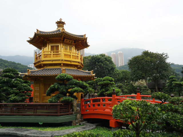 A Peaceful Pause: Hong Kong’s Best Kept Secrets—Chi Lin Nunnery and Nan Lian Garden