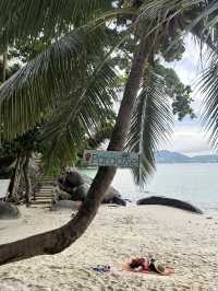 Paradise Beach - พาราไดซ์บีช ป่าตองภูเก็ต