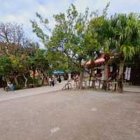 【沖繩】神社建造在海浪拍打的岸邊的巨大珊瑚礁之上