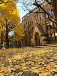 「小石川後樂園」賞楓