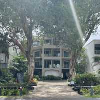 【オーストラリア】静かな楽園！癒しのビーチリゾート・パームコーブ 🏝️🌿