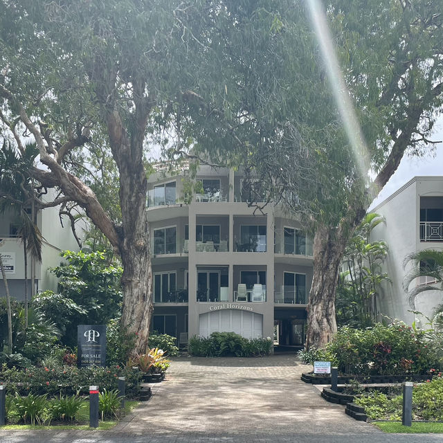 【オーストラリア】静かな楽園！癒しのビーチリゾート・パームコーブ 🏝️🌿