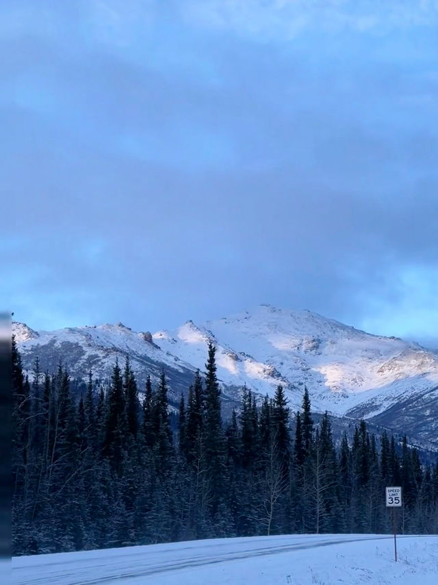 Into the Wild – My Winter Adventure in Denali National Park, Alaska