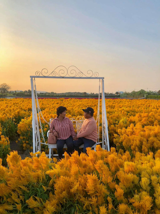 Taiwan in 3 Days: Blossoms, Mountains, and Hidden Gems