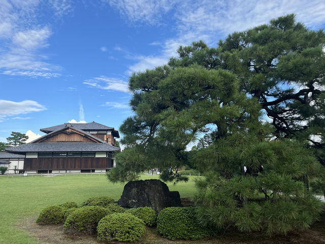 京都二條城｜德川家族廣闊的城池