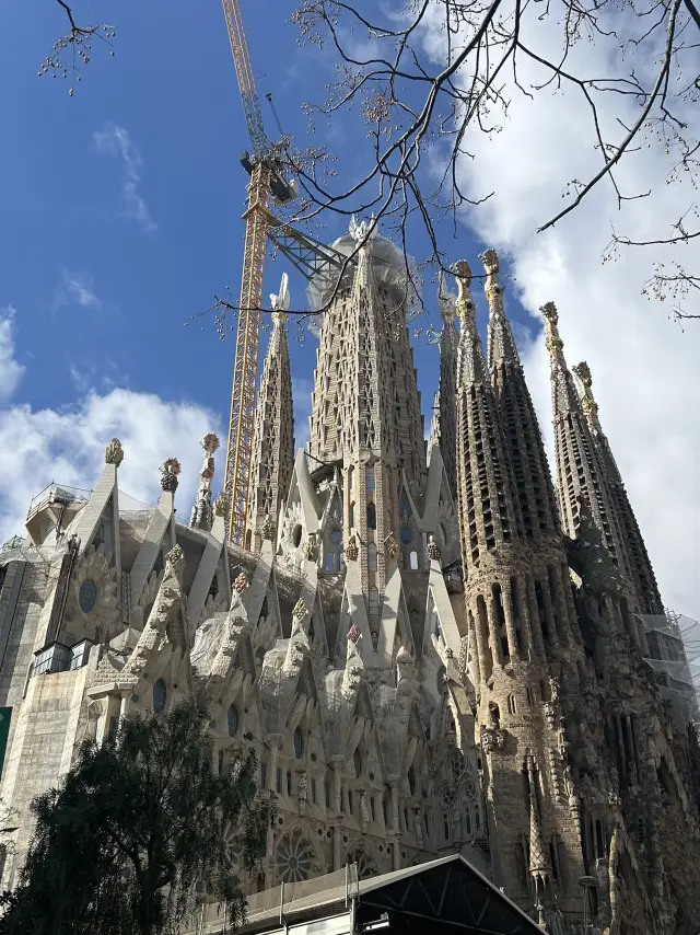 10-day, 12-night trip to Spain! (Barcelona-Madrid-Seville-Granada)