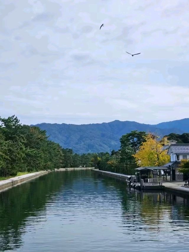 天橋立ビューランド