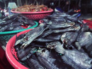 Ca Mau - the southernmost province of Vietnam