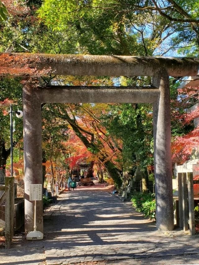 紅葉が美しいおすすめスポット
