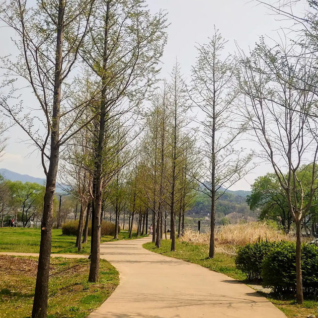 水の庭園 