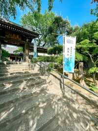 花手水と切り絵御朱印が有名な寺院