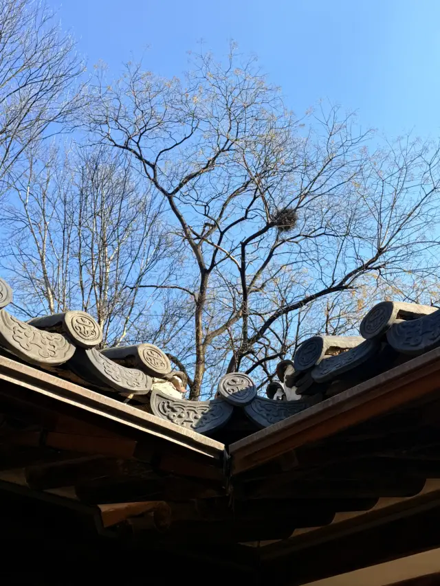 首爾|承載興宣大院君權傾一時與失勢落寞 雲峴宮的風雲史