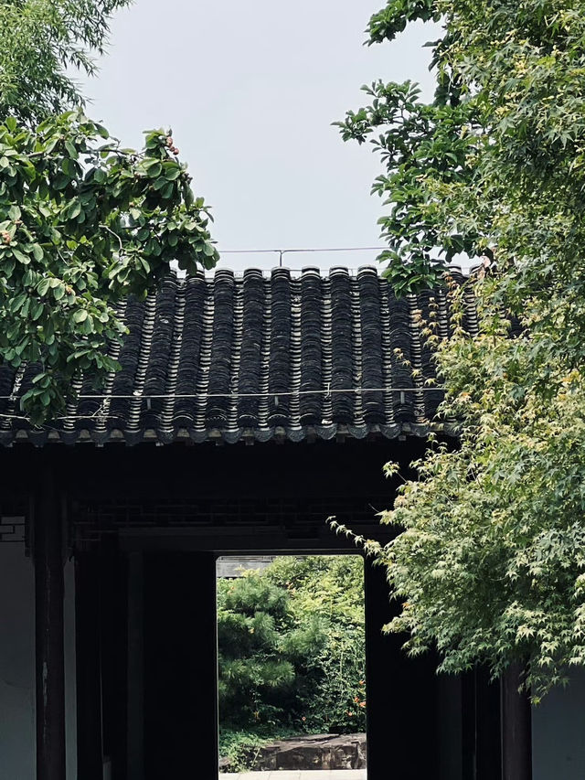 🇨🇳 Discover Suzhou: Gardens, History, and Culture Await