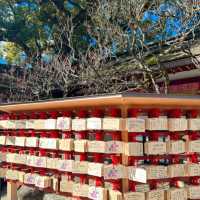 Dazaifu Tenmangu Shrine