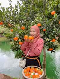 ธารคีรี - สวนกำนัน คาเฟ่ กระบี่