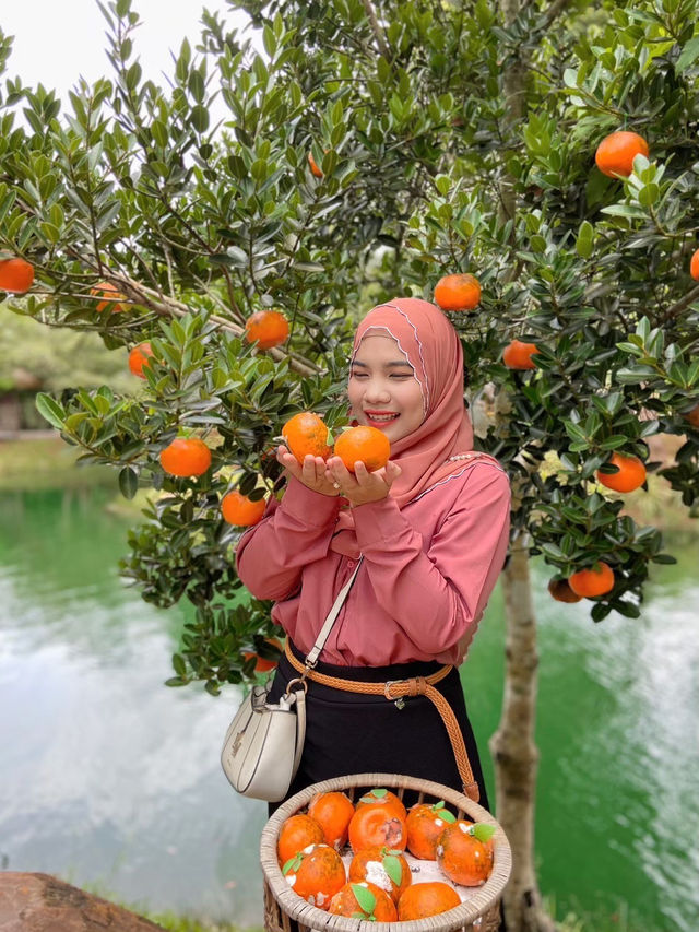 ธารคีรี - สวนกำนัน คาเฟ่ กระบี่