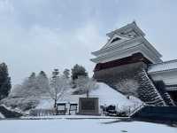 Winter Serenity at Matsushiro Castle