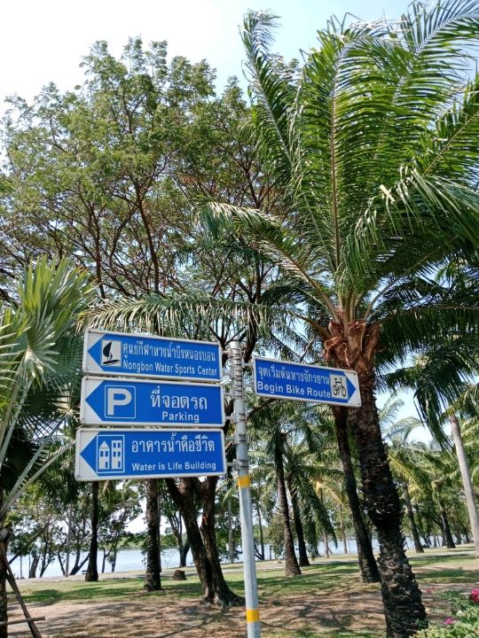 พักผ่อนหย่อนใจ ที่ สวนสาธารณะบึงหนองบอน