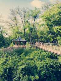 Dodeoksan Suspension Bridge