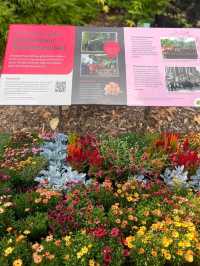 花園城市內的基督城植物園