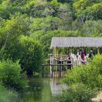 สภากาแฟกลางน้ำ กองเรือตรวจอ่าว อ.สัตหีบ จ.ชลบุรี