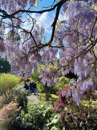 Giverny: The Enchanting Village That Inspired Monet