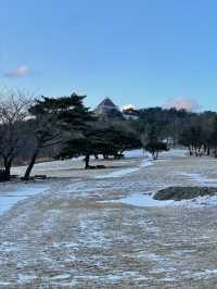 부산 근교 눈을 왕창 볼 수 있는 곳