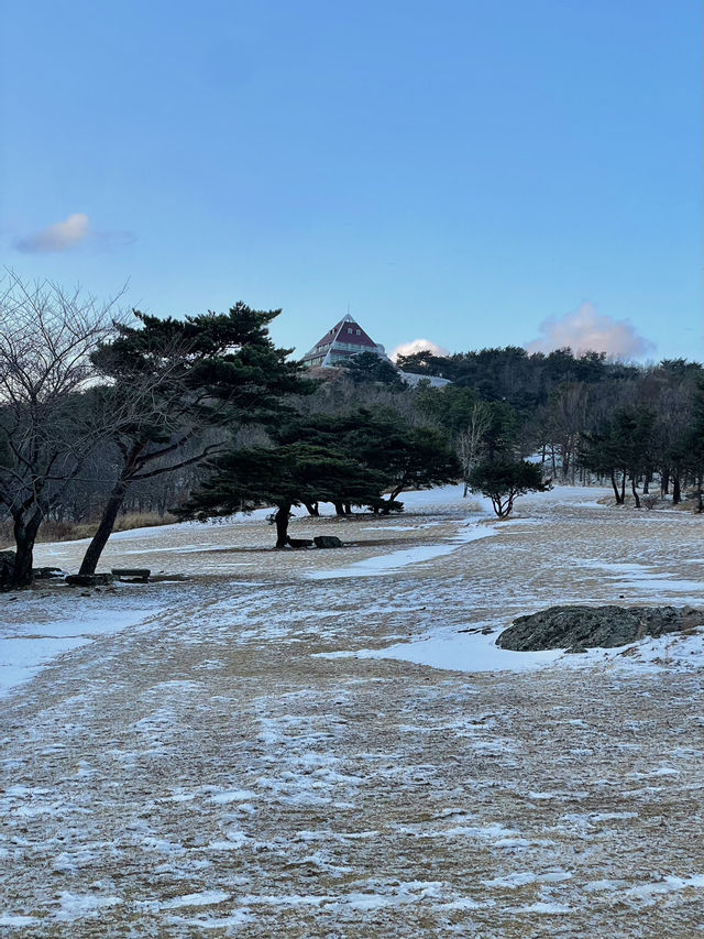 부산 근교 눈을 왕창 볼 수 있는 곳