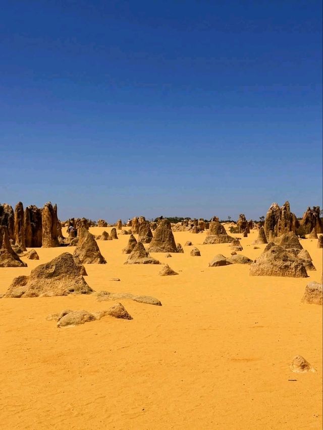 The Pinnacles and Pink Lake: Western Australia’s Natural Wonders