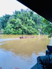 Hike Through the Lush Green Mulu Forest