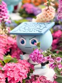 香港維園花展🌸鬱金香花海超美！