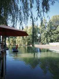 Spring in Cambridge: A Dreamy Riverside Bloom