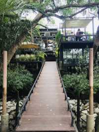 หนีเมืองมาสูดอากาศบริสุทธิ์ที่ Bangkok Tree House