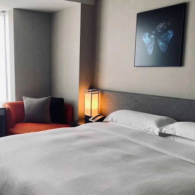 🏨 **台北艾麗希爾頓格芮精選酒店分享** 🏨