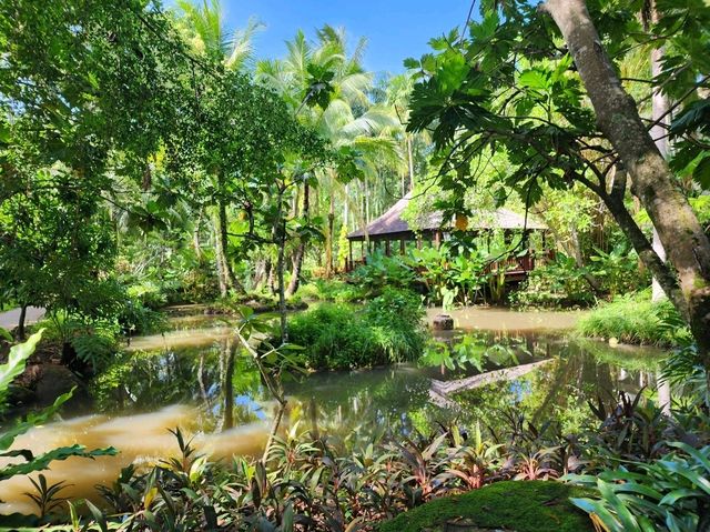 [🇹🇭プーケット] マリオットマイカオビーチプーケット：広々とした客室とプールで家族旅行にぴったりなリゾート
