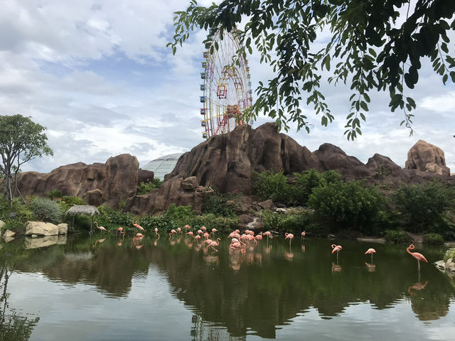 4天3夜越南芽莊休息之旅🏝️